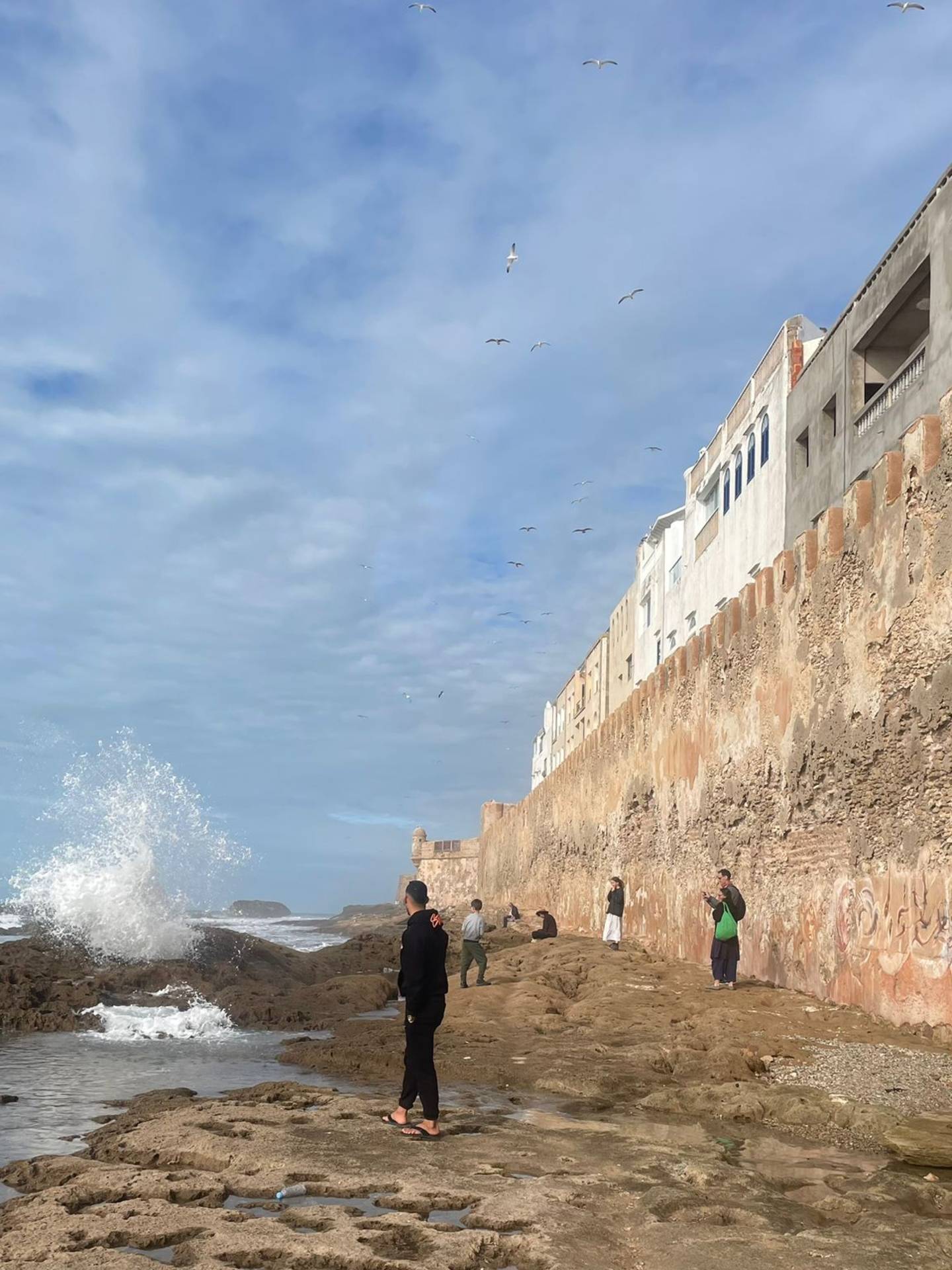 Véronique C - Guide de séjours créatifs à Essaouira Véronique C - Guide de séjours créatifs à Essaouira